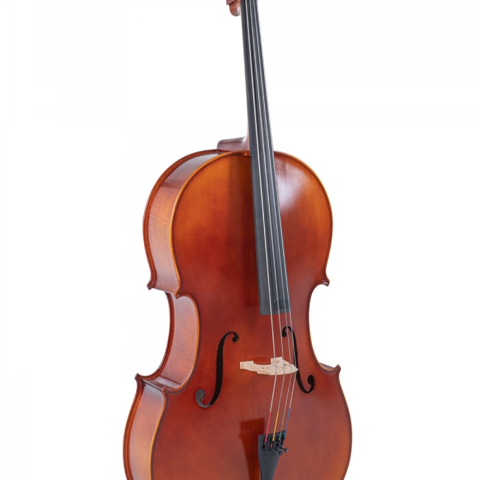 Gewa GS4020611121 Ideale VC2 Çello (4/4) | Flamed Maple Arka Kapak Profesyonel Görünüm