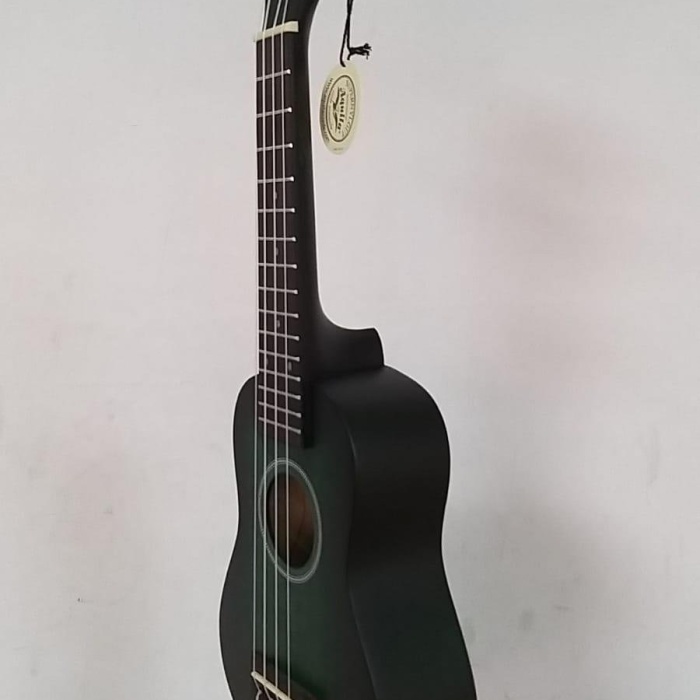 Cremonia AU-HO1A-21BL Soprano Ukulele | 21 İnç Mat Mavi