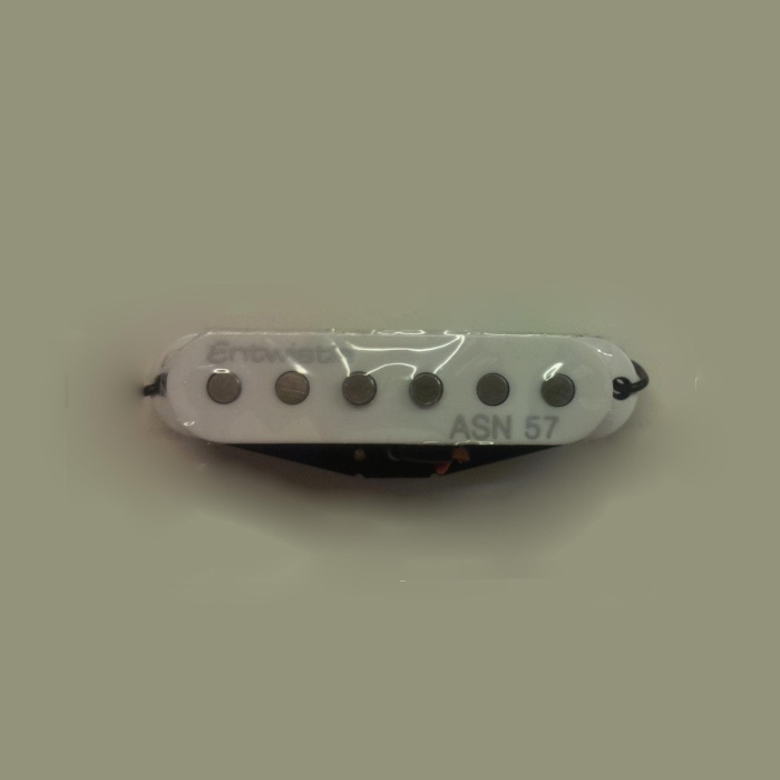 Artec ASN57-M Middle Noiseless Single Magnetic | Alnico Gürültüsüz Orta Manyetik 13,9K