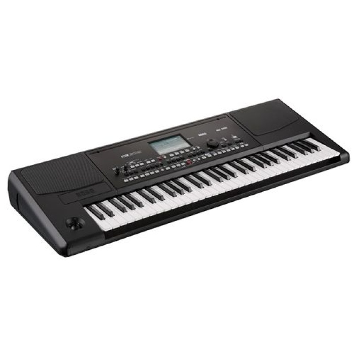 Korg PA300 | 61 Tuşlu Profesyonel Arranger Klavye - Siyah