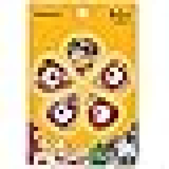 Planet Waves 1CWH6-10B7 Beatles Yellow Submarine Pena Heavy (10lu Paket) | 50. Yıl Özel - Koleksiyonluk - Sert