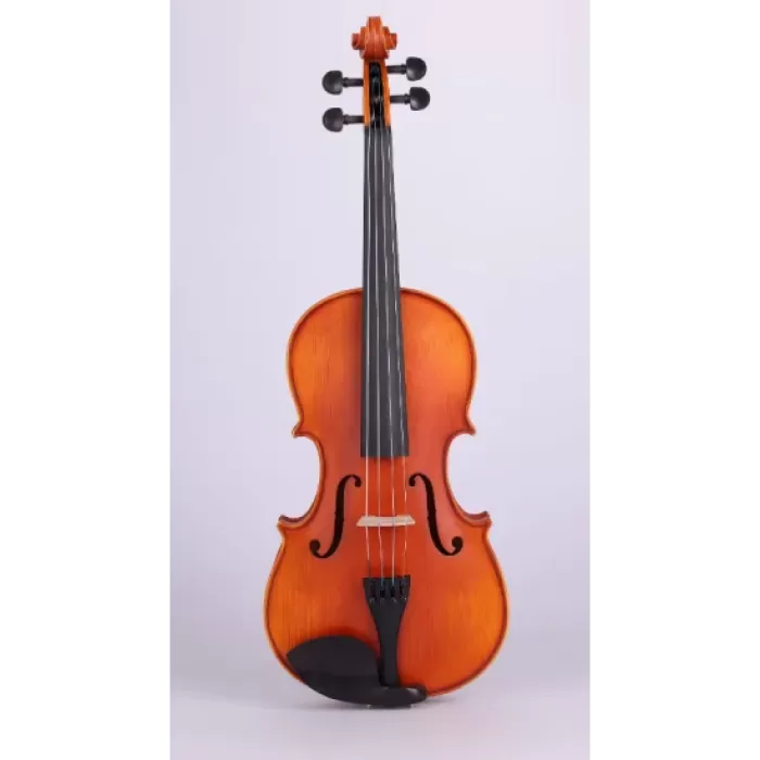Picaldi LG107 16 Viyola | Geniş Gövde Rezonansı, Güçlü Ses Projeksiyonu, Dayanıklı Eğitim Serisi