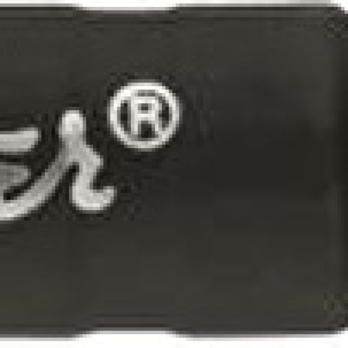 Fender 0990820024 Professional Serisi 3 Metre Enstrüman ve Gitar Kablosu (Siyah) | Düz/Düz Uçlu Konnektör, %95 Bakır Örgü Ekranlama ve Esnek Yapı