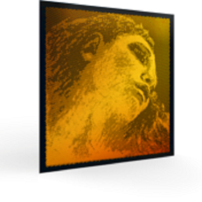 Pirastro 415021 Keman Tel Seti - Evah Pirazzi Gold (g-altın) 4/4 Kemanlarla Tam Uyumlu (üst Segment - Profesyonel Solo) | Sentetik Çekirdek, Altın Sarım G Teli İle En Sıcak Ve Geniş Ton Aralığı | Ölçü: 4/4 Kemanlar İçin (4lü Tam Takım Set)