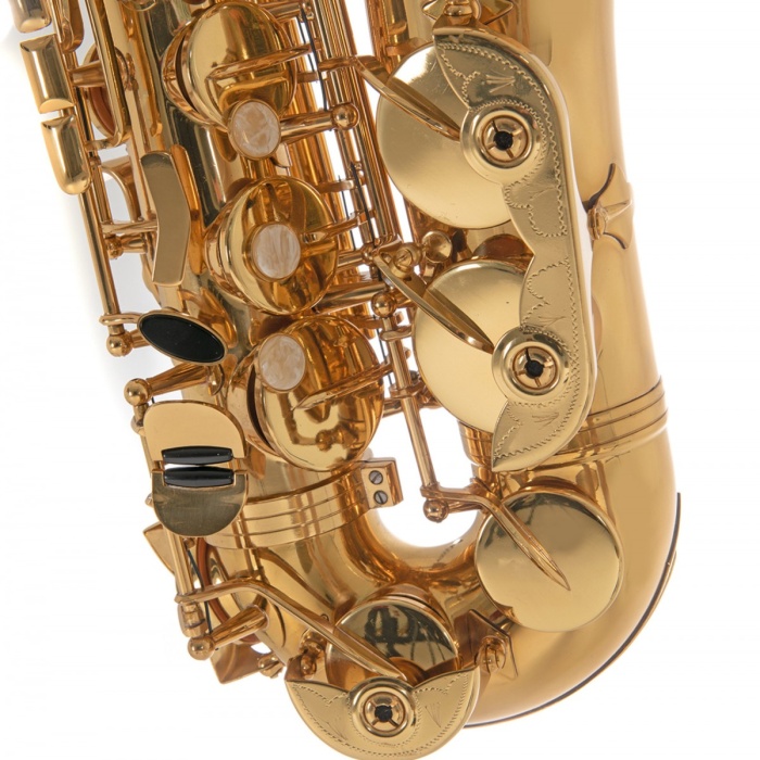 Roy Benson AS-202 Alto Saksafon (Başlangıç/Eğitim - Eb Alto) | Pirinç Gövde ve Mekanizma, Altın Lak Kaplama, Yüksek Kaliteli Pabuçlar (Pads) | Ölçüler: Eb (Mi Bemol) Standart Boy