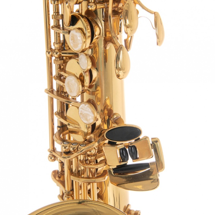 Roy Benson AS-202 Alto Saksafon (Başlangıç/Eğitim - Eb Alto) | Pirinç Gövde ve Mekanizma, Altın Lak Kaplama, Yüksek Kaliteli Pabuçlar (Pads) | Ölçüler: Eb (Mi Bemol) Standart Boy