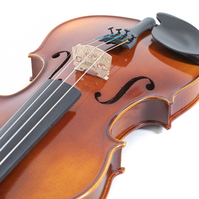 Gewa GS4000512211 Allegro VL1 Keman (4/4) | Avrupa Ağacı El Cilası Kutu ve Yay Dahil