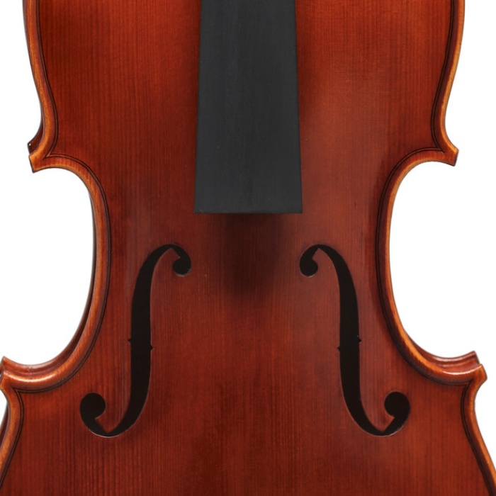 Gewa GS400085 Maestro El Yapımı Keman (4/4) | Konser Kalitesinde Ses Üst Düzey İşçilik