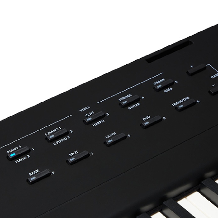 Kurzweil KAE1-LB Taşınabilir Dijital Piyano (Orta Seviye) | 88 Tuşlu Hassas Klavye, Dahili Ses Sistemi, Modern Kompakt Tasarım, Yüksek Rezonans