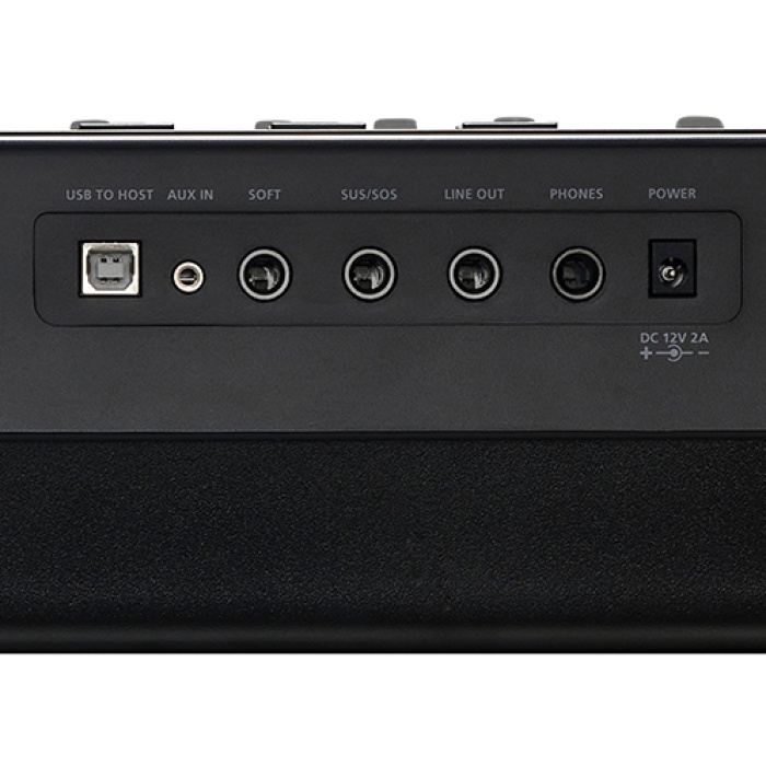 Kurzweil KAE1-LB Taşınabilir Dijital Piyano (Orta Seviye) | 88 Tuşlu Hassas Klavye, Dahili Ses Sistemi, Modern Kompakt Tasarım, Yüksek Rezonans