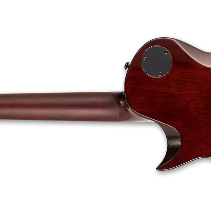 ESP LTD EC-1001 FM Fluence Tiger Eye Elektro Gitar