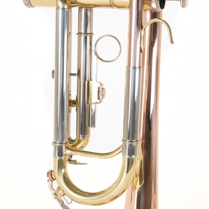 Roy Benson TR-202G Bb Trompet - Gold Brass (Orta Seviye - Sıcak Ton Serisi) | Altın Pirinç (Gold Brass) Kalak ve Ağızlık Borusu, Paslanmaz Çelik Pistonlar, Ayarlanabilir 3. Slayt Yüzüğü | Uyum: Konser ve Bando Performansları