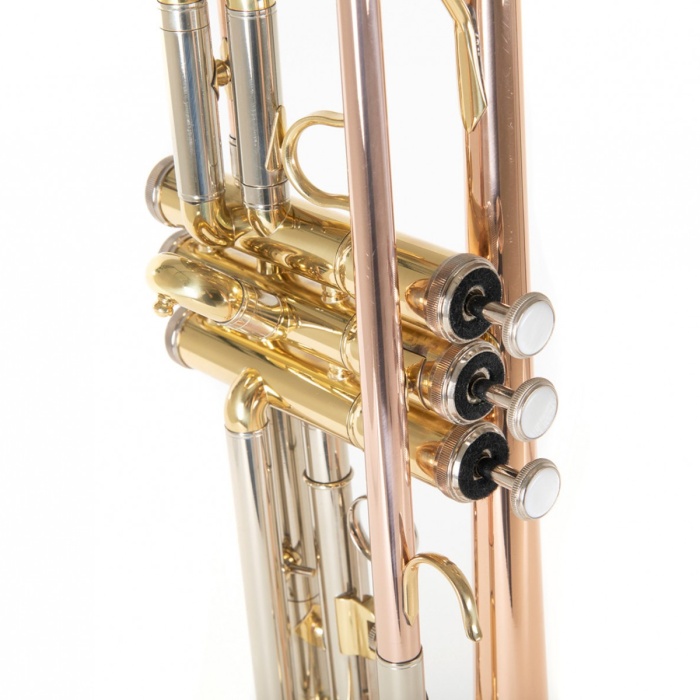 Roy Benson TR-202G Bb Trompet - Gold Brass (Orta Seviye - Sıcak Ton Serisi) | Altın Pirinç (Gold Brass) Kalak ve Ağızlık Borusu, Paslanmaz Çelik Pistonlar, Ayarlanabilir 3. Slayt Yüzüğü | Uyum: Konser ve Bando Performansları