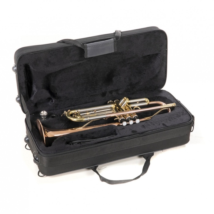 Roy Benson TR-202G Bb Trompet - Gold Brass (Orta Seviye - Sıcak Ton Serisi) | Altın Pirinç (Gold Brass) Kalak ve Ağızlık Borusu, Paslanmaz Çelik Pistonlar, Ayarlanabilir 3. Slayt Yüzüğü | Uyum: Konser ve Bando Performansları