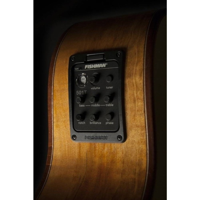 Washburn WCG66SCE Comfort Serisi Elektro Akustik | Abanoz Arka ve Yanlar Lüks Ton