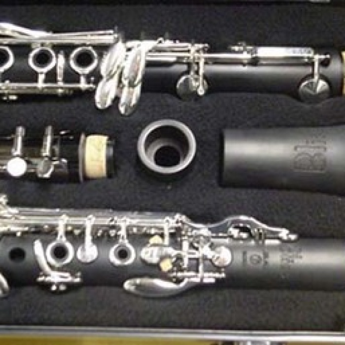 Conn LB320VNPC Leblanc Bliss Plastik Klarnet | Dayanıklı Polimer Gövde Kolay Üfleme Sağlayan Mekanizma ve Başlangıç Seviyesi İçin İdeal