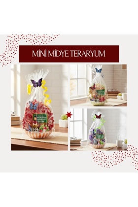 Mini Midye Teraryum - Öğretmenler Günü Hediyesi