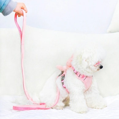 Evcil Hayvan Peluş Ayıcıklı Göğüs Gezdirme Tasması Set