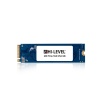 256GB HI-LEVEL HLV-M2PCIeSSD2280/256G NVMe SSD