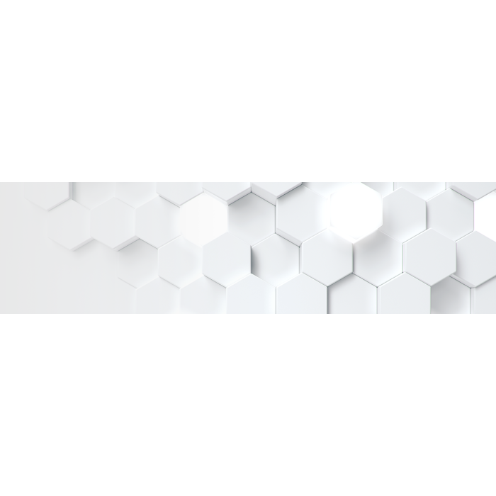 Kioxia Exceria Plus G4 LVD10Z001TG8 1TB Gen5 10000