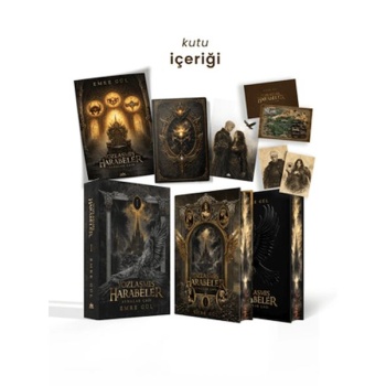 Aynalar Çağı Serisi 1 - Yozlaşmış Harabeler (Tek Kitaplık Yan Boyamalı Kutu)