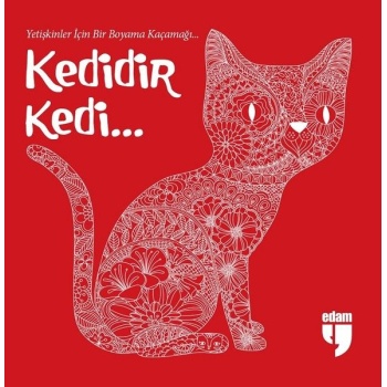 Kedidir Kedi...