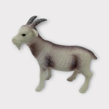 Çiftlik Hayvanları - Keçi (Lisinya)