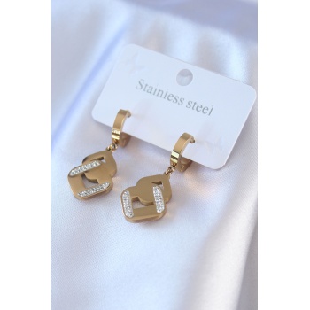 316L Çelik Gold Renk Zirkon Taşlı Kadın Küpe - Lisinya