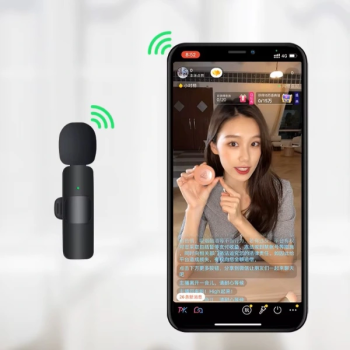 Mini Yaka Mikrofonu Type-c Uyumlu ( Lisinya )