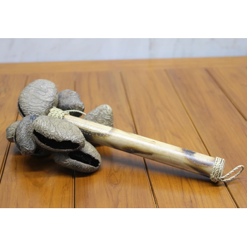 Coconat Sarkaçli Marakas Dıarta:2 - Lisinya