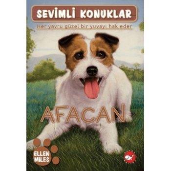 Sevimli Konuklar 4 -Afacan