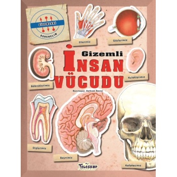 Gizemleri Öğrenelim - Gizemli İnsan Vücudu