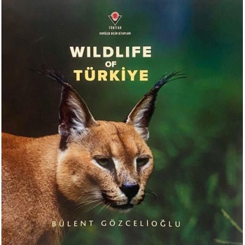 Wıldlıfe Of Türkiye