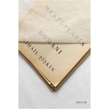 Mektupların Romanı