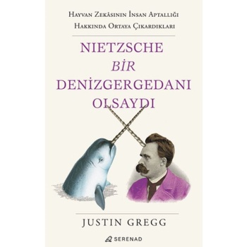 Nietzsche Bir Denizgergedanı Olsaydı