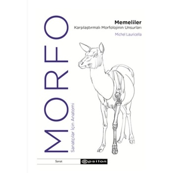 Morfo - Memeliler Karşılaştırmalı Morfolojinin Unsurları