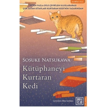 Kütüphaneyi Kurtaran Kedi