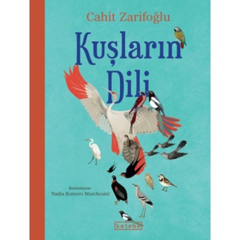 Kuşların Dili