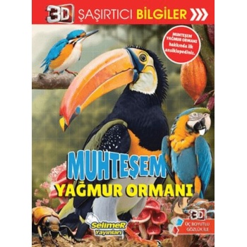 3D Şaşırtıcı Bilgiler - Muhteşem Yağmur Ormanı