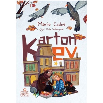 Karton Ev