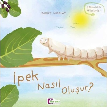 Oluşum Hikayeleri - İpek nasıl oluşur?