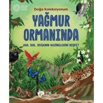 Yağmur Ormanında
