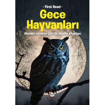 Gece Hayvanları