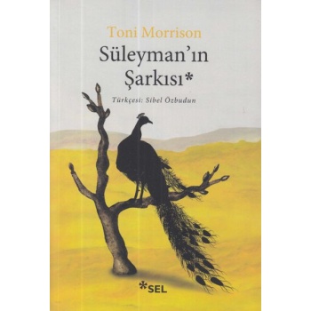 Süleyman’ın Şarkısı