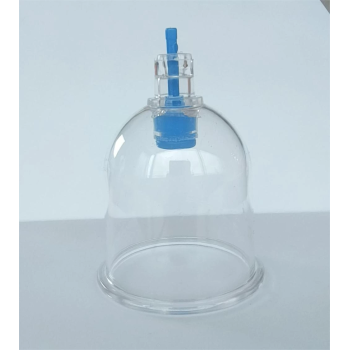 5 Numara Hacamat Kupası - Lisinya