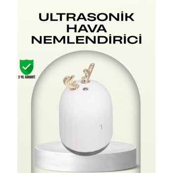 ABS+PP Malzemeli Taşınabilir 220 ml USB Mist Nemlendirici - Lisinya
