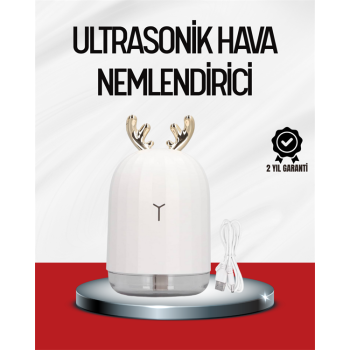 El Tipi USB Mini Soğuk Mist Nemlendirici 220 ml Tank - Lisinya