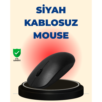Sessiz ve Ergonomik Mouse – USB Bağlantılı ve DPI Ayarlı - Lisinya