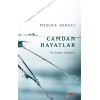 Camdan Hayatlar - Bir İçişleri Hikayesi