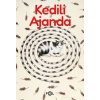 Kedili Ajanda